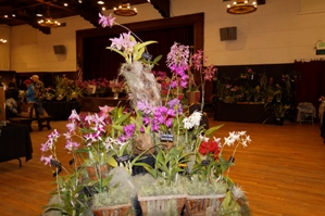 American Orchid Society Show Trophy ST/AOS 85 pts.